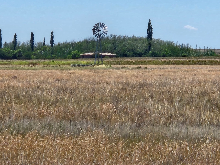 0 Bedroom Property for Sale in Edenburg Rural Free State